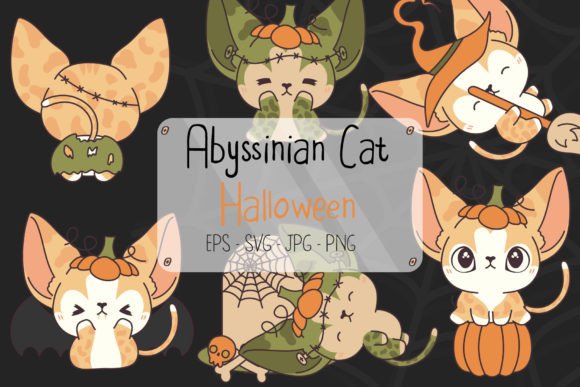 Halloween Abyssinian Cat Embroidery Design Review