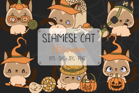 Halloween Siamese Cat Set Review